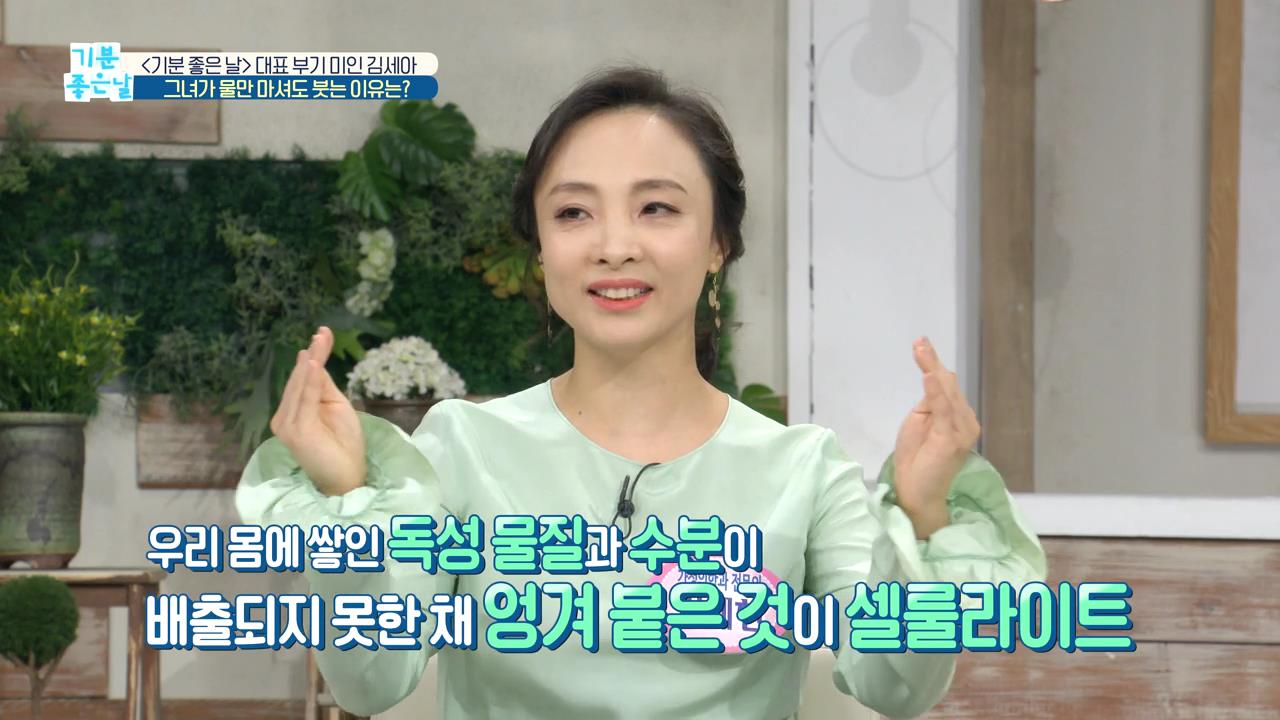 미디어
