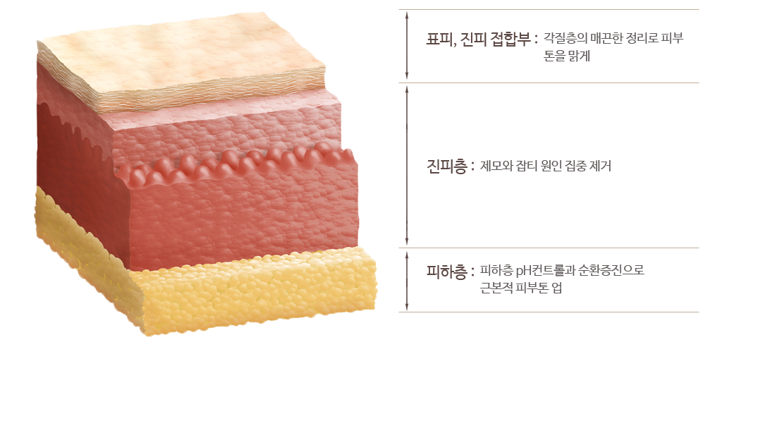 린 메디컬 스킨케어 프로그램