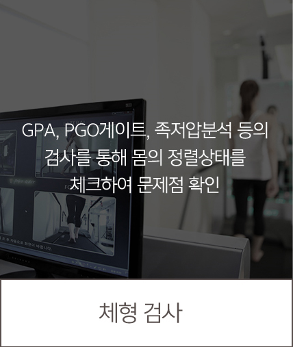 체형검사