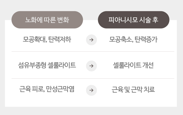 노화에 따른 얼굴 조직의 변화