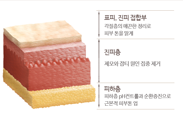 린 메디컬 스킨케어 프로그램